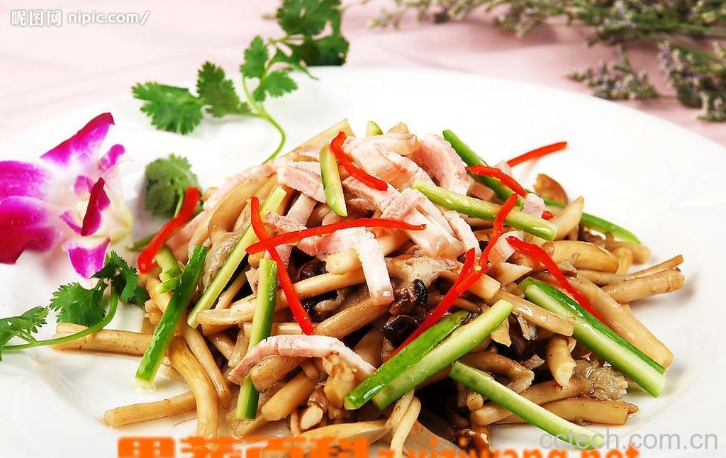 果蔬百科茶树菇-0