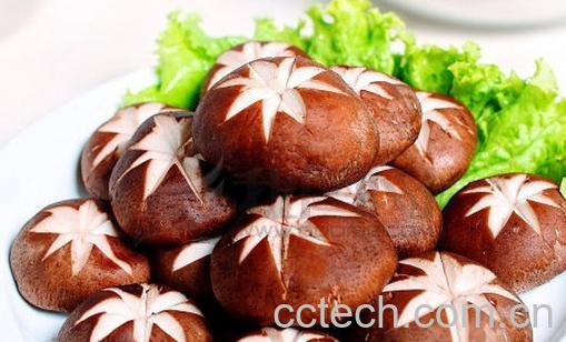 果蔬百科香菇-0