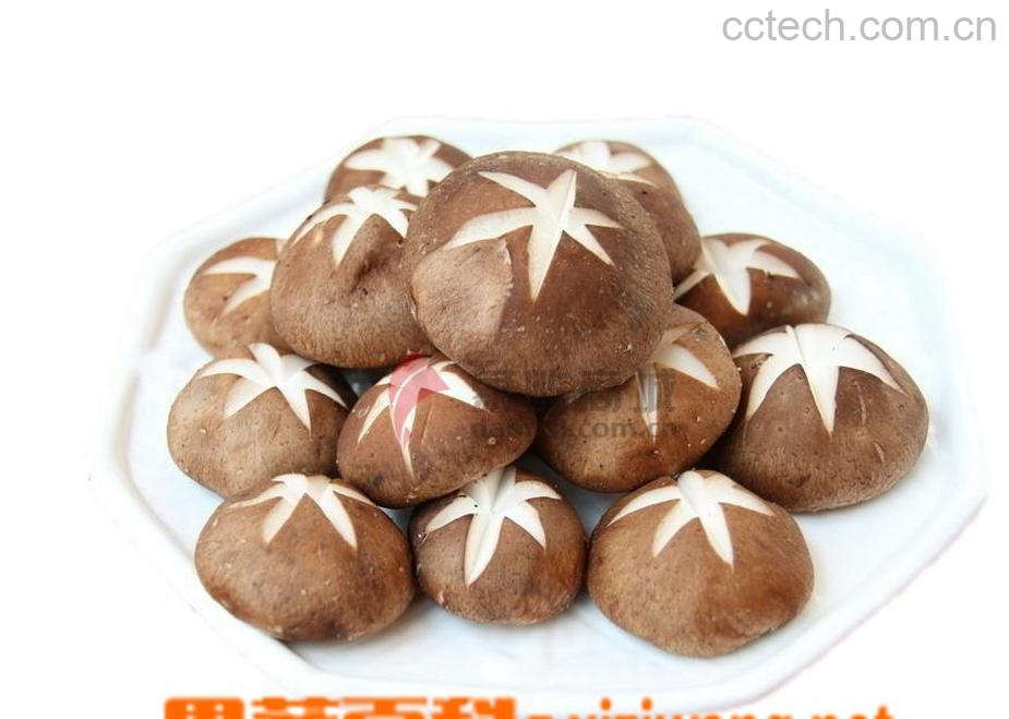 果蔬百科香菇-0