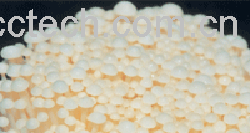 果蔬百科金针菇菌种-0