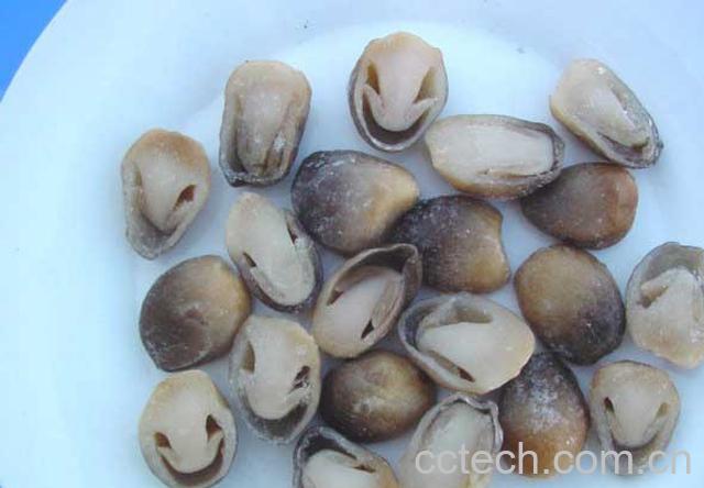 果蔬百科草菇-0