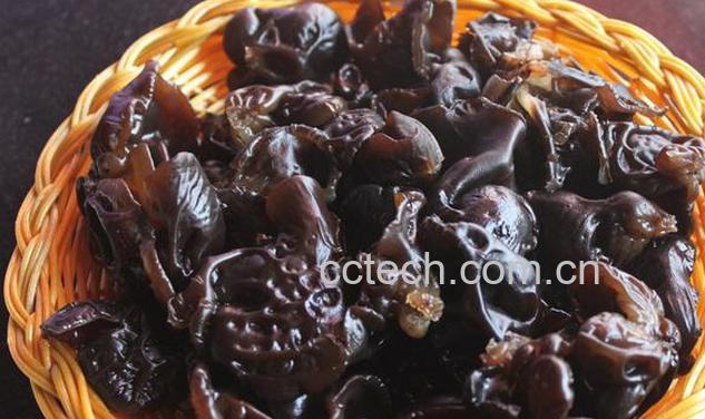 果蔬百科黑木耳-0