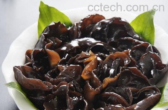 果蔬百科黑木耳-0