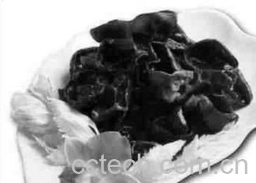 果蔬百科黑木耳-0