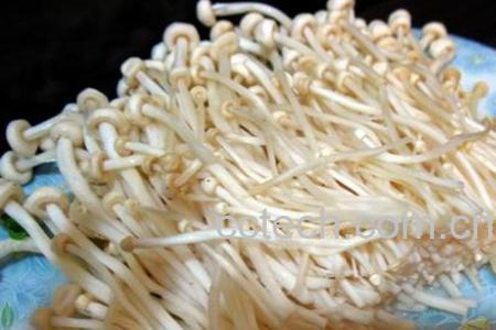 果蔬百科金针菇-0