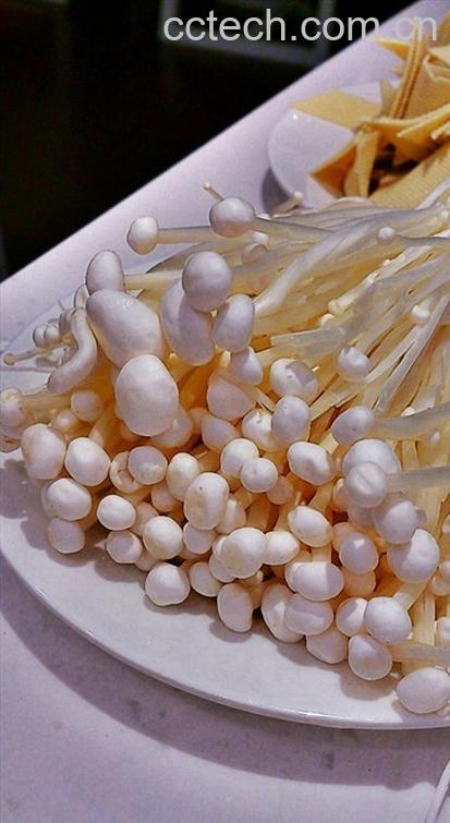 果蔬百科金针菇-0