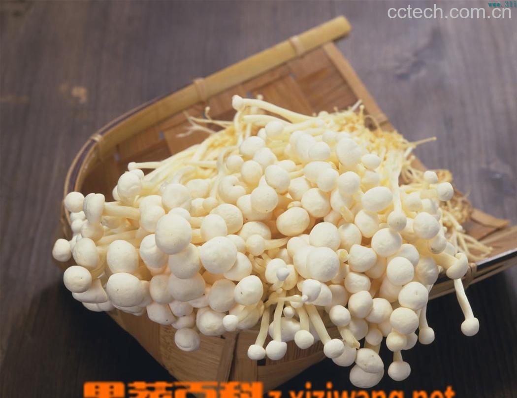 果蔬百科金针菇-0