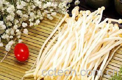 果蔬百科金针菇-0