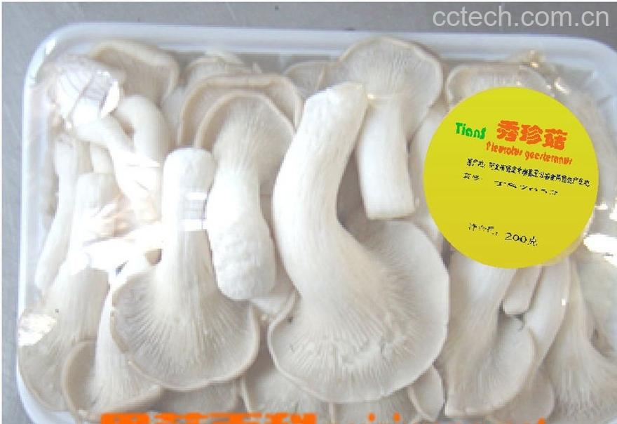 果蔬百科秀珍菇-0