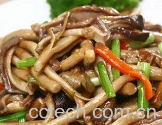 果蔬百科茶树菇-0