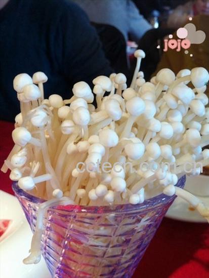 果蔬百科金针菇-0