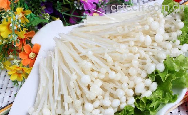 果蔬百科金针菇-0