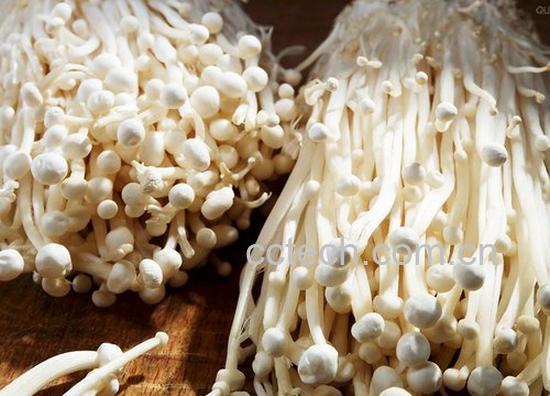 果蔬百科金针菇-0