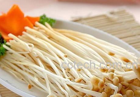 果蔬百科金针菇-0