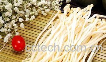 果蔬百科金针菇-0