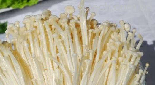 果蔬百科金针菇-0