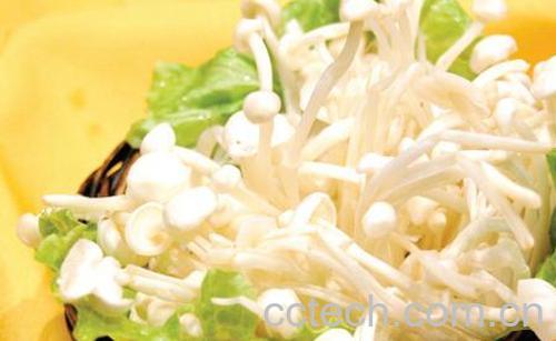 果蔬百科金针菇-0