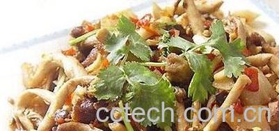 果蔬百科茶树菇-0