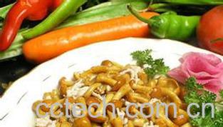 果蔬百科块根蘑-0