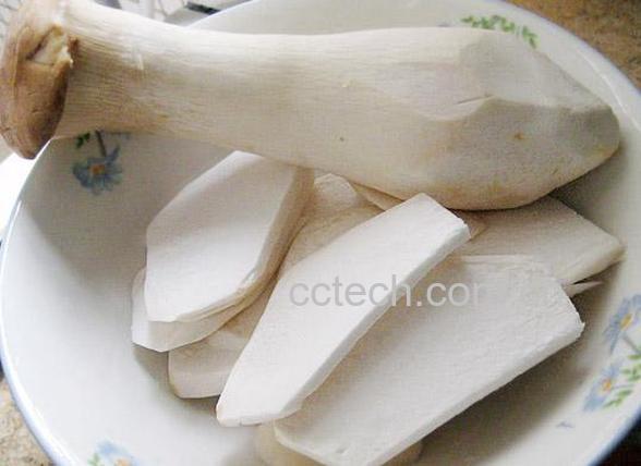 果蔬百科杏鲍菇-0