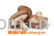 果蔬百科香菇-0