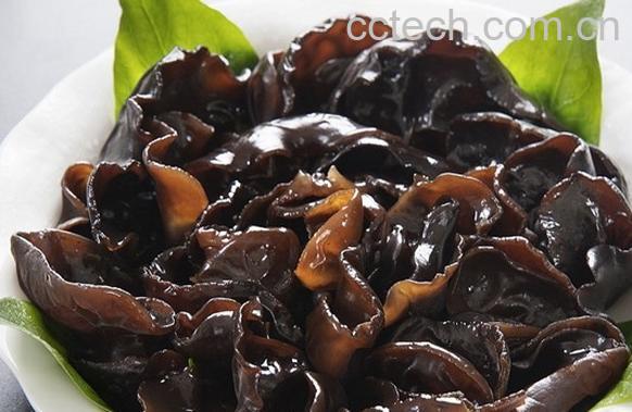 果蔬百科黑木耳-0