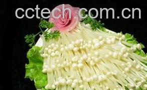 果蔬百科凉拌金针菇-0