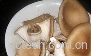 果蔬百科猪肚菇-0