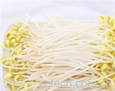 果蔬百科黄豆芽-0