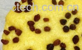 果蔬百科玉米面发糕-0