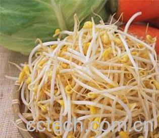 果蔬百科豆芽-0