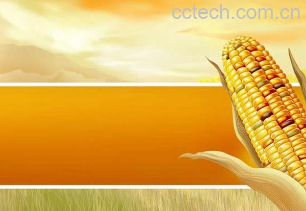 果蔬百科玉米-0