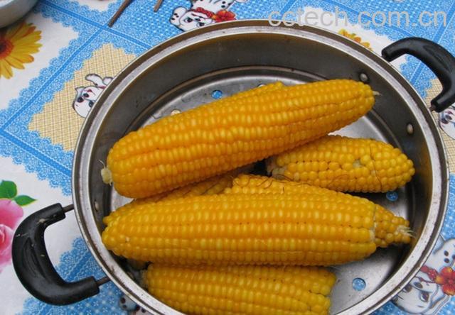 果蔬百科玉米-0