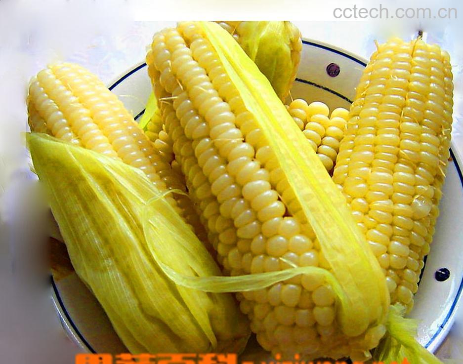 果蔬百科玉米-0