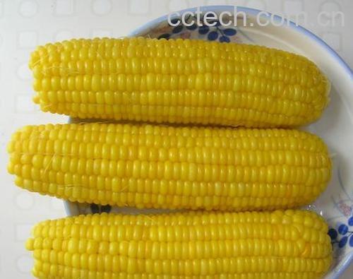 果蔬百科水果玉米-0