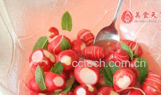 果蔬百科什么是水罗卜-0