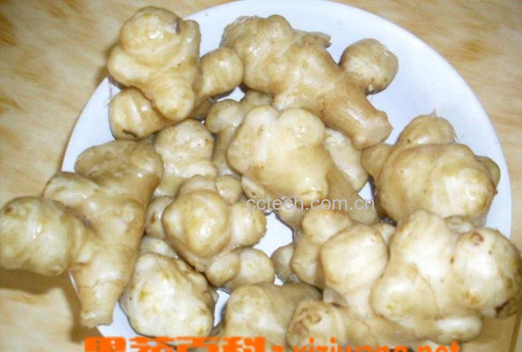 果蔬百科腌制洋姜-0