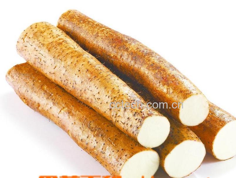 果蔬百科山药-0