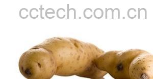 果蔬百科土豆-0