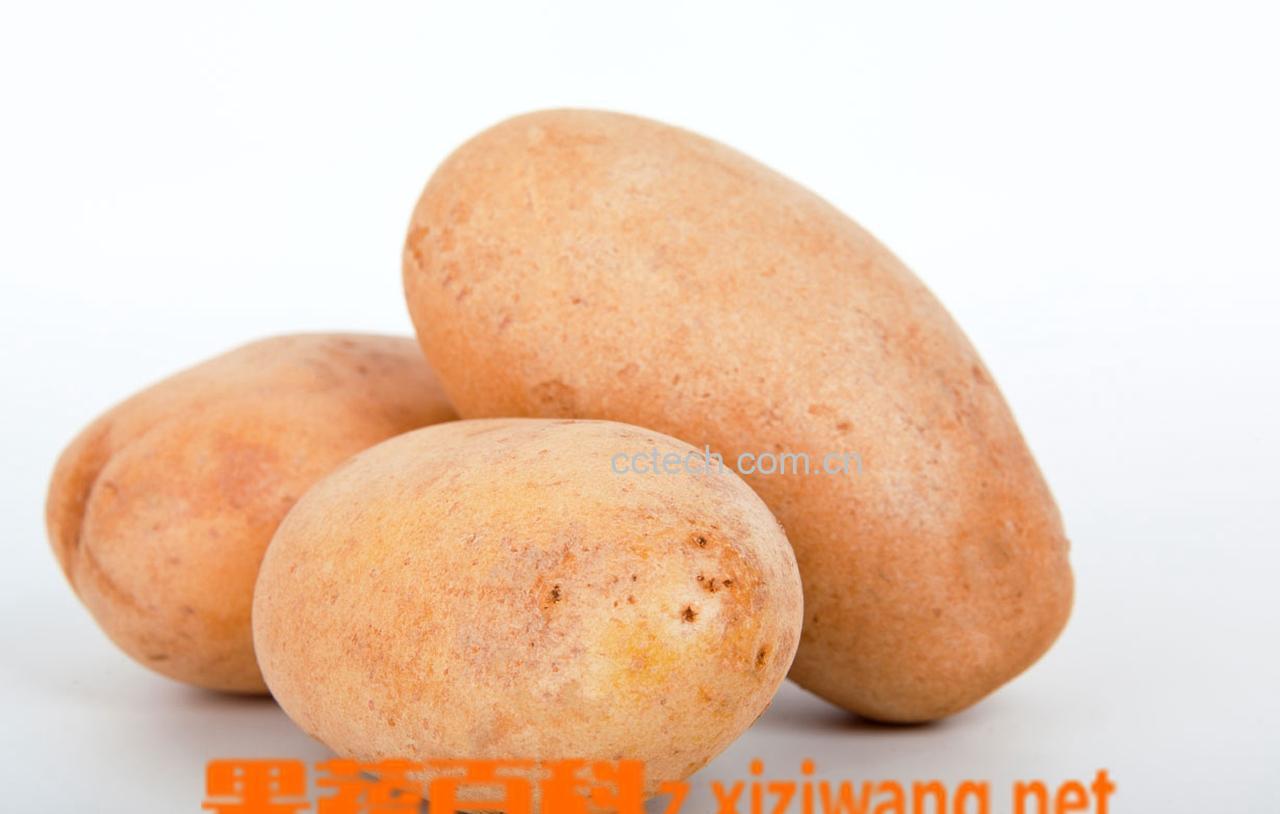 果蔬百科土豆-0