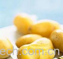 果蔬百科土豆-0