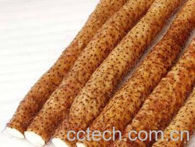 果蔬百科山药-0