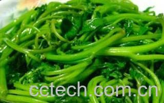 果蔬百科红薯叶-0