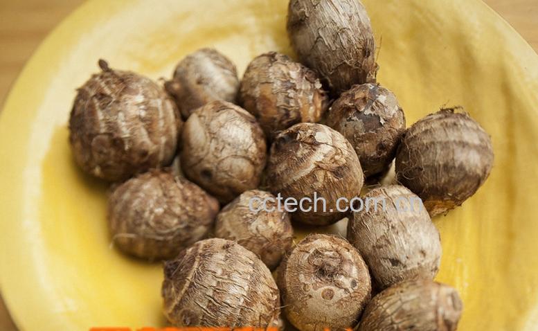 果蔬百科芋头-0