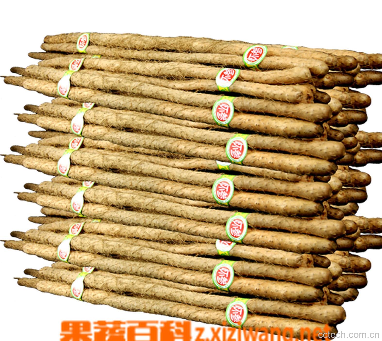 果蔬百科山药-0