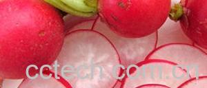 果蔬百科红萝卜-0