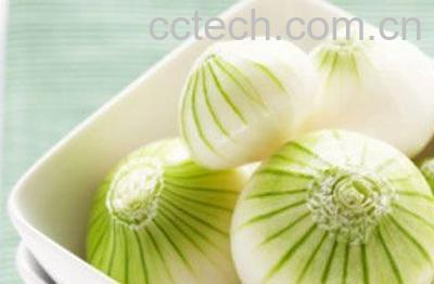 果蔬百科洋葱-0