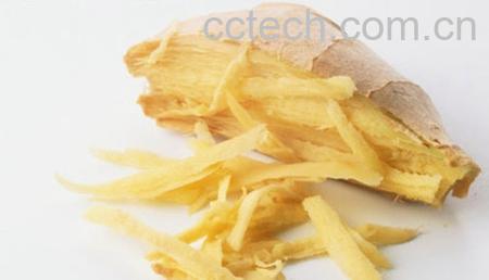 果蔬百科生姜-0