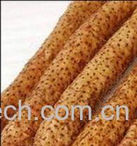 果蔬百科山药-0