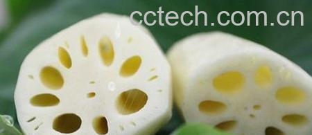 果蔬百科莲藕-0